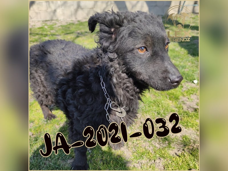 JA-2021-032 sehnt sich nach Familie