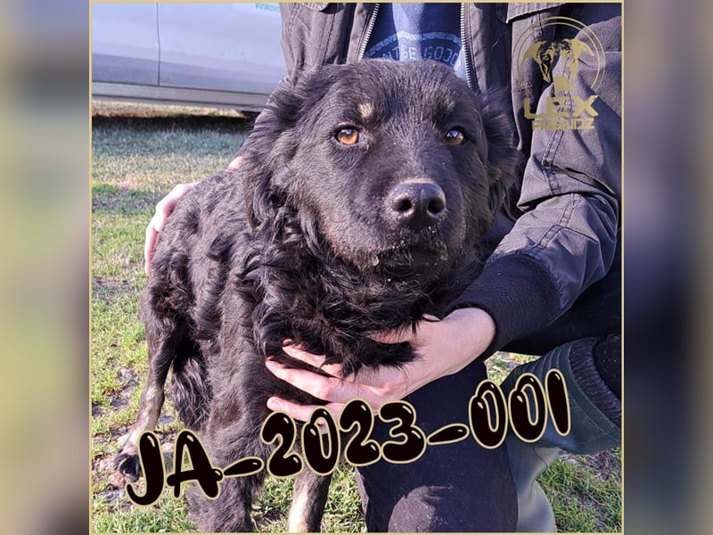 JA-2023-001 hofft auf Rettung