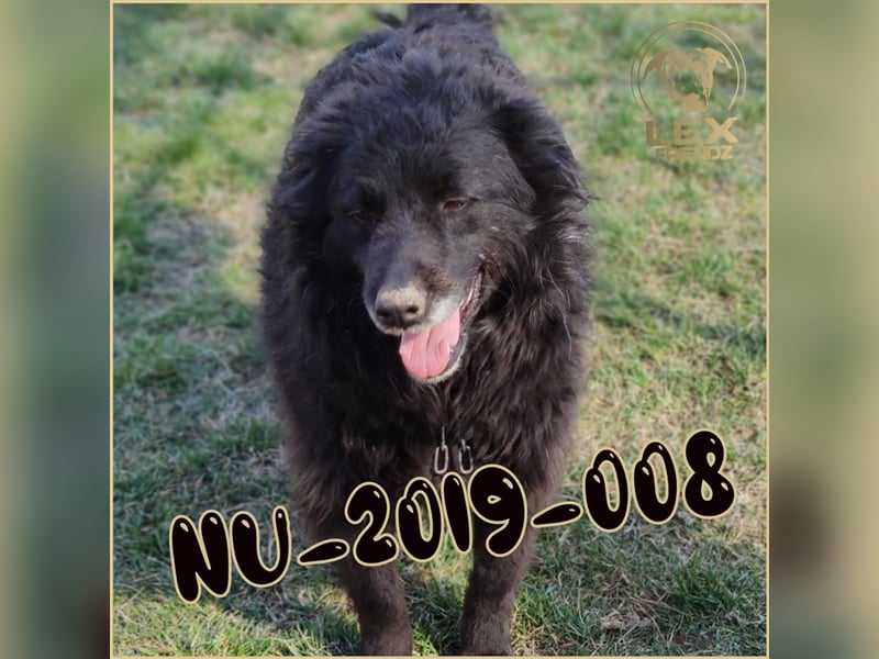 NALA sucht ihr Glück