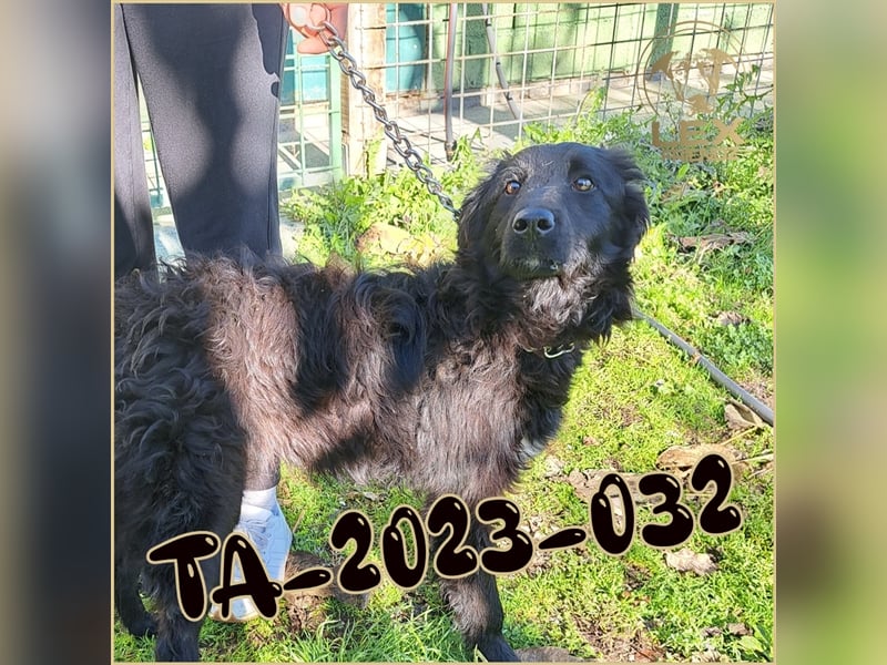 TA-2023-032 hofft auf Rettung