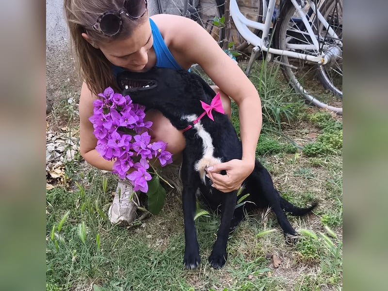 Lola sucht aktive Familie