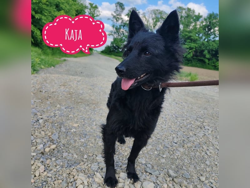 Kaja ein gebrochener Engel