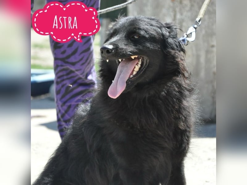 Astra ein tolles Mädchen