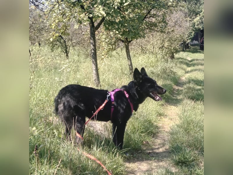 Tina elegant und süß zur gleich