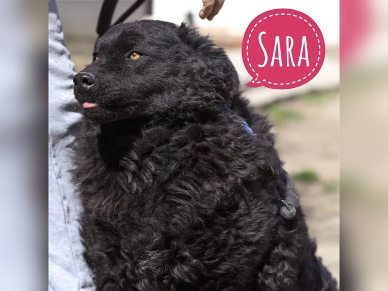 Sara eine Knutschkugel