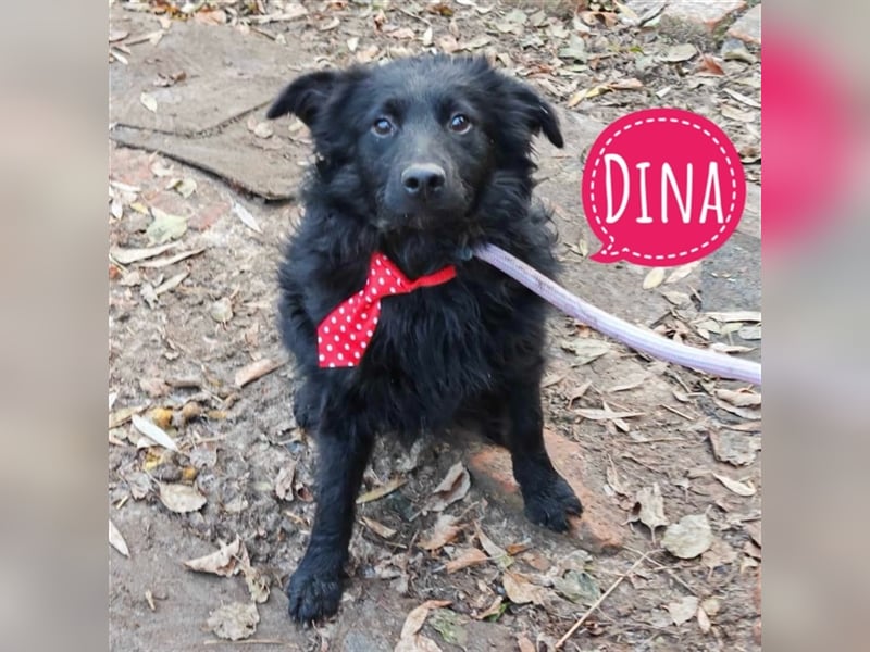 Dina eine wundervolle Seele