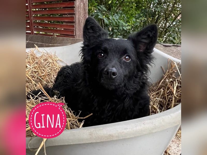 Gina die treuste Seele