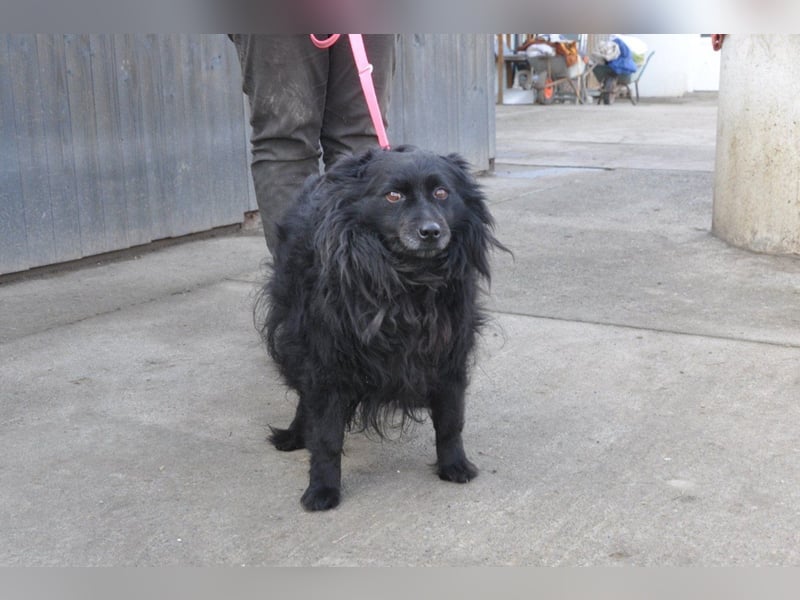 Besuche Daisy in 04157 Leipzig