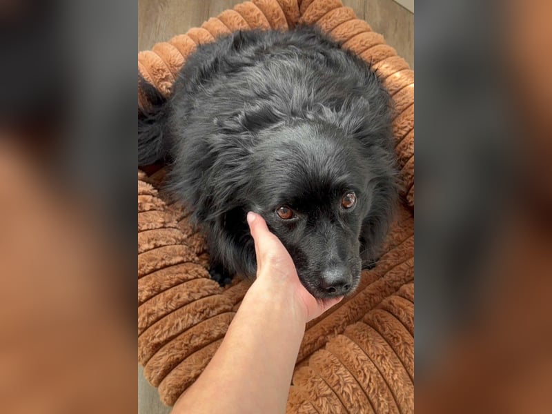 Besuche Daisy in 04157 Leipzig