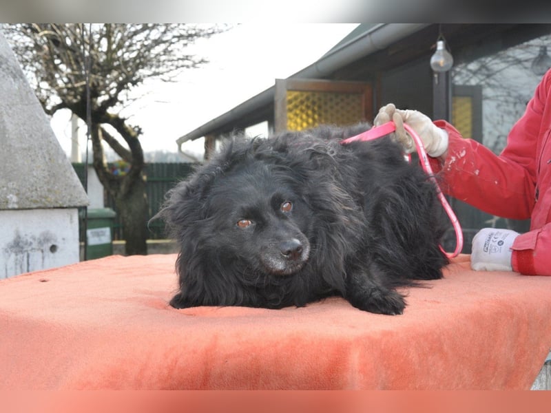 Besuche Daisy in 04157 Leipzig