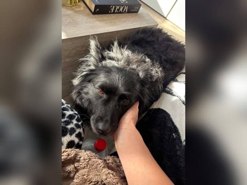 Besuche Daisy in 04157 Leipzig