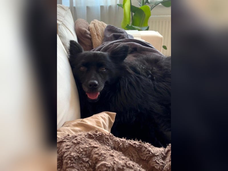 Besuche Daisy in 04157 Leipzig