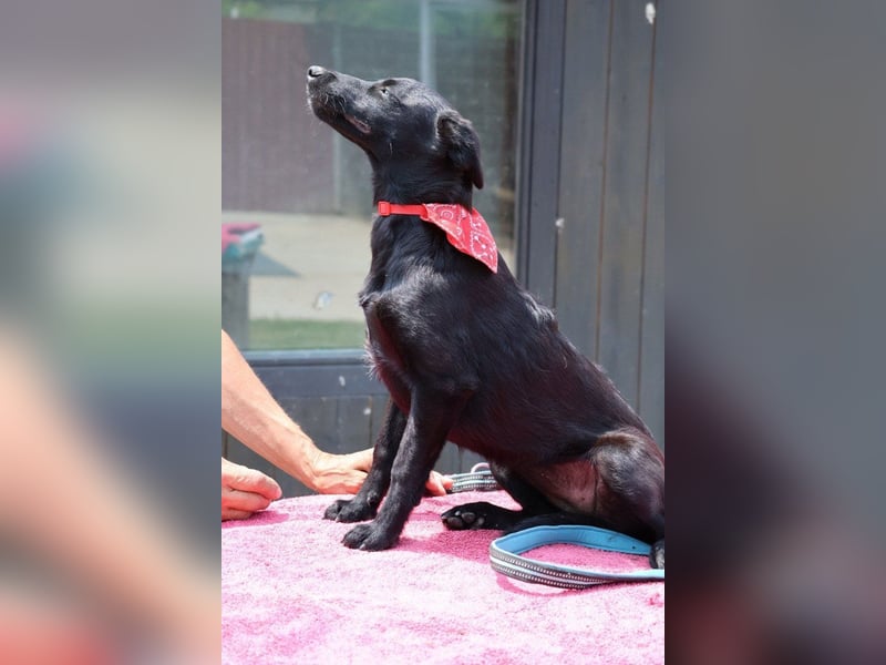 Zarte ♥Ara♥ sucht Vertrauen & Liebe