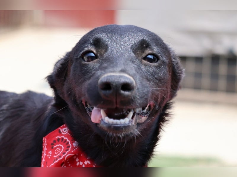 Zarte ♥Ara♥ sucht Vertrauen & Liebe