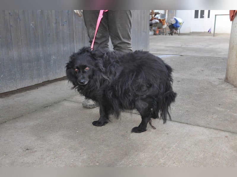 Besuche Daisy in 04157 Leipzig