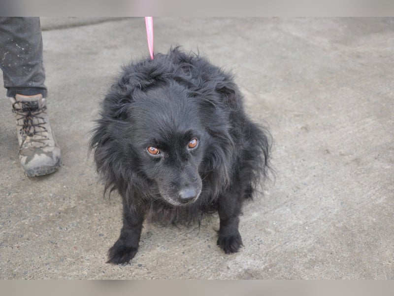 Besuche Daisy in 04157 Leipzig