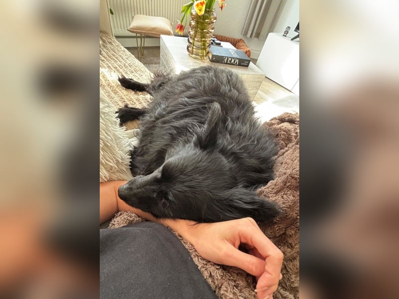 Besuche Daisy in 04157 Leipzig