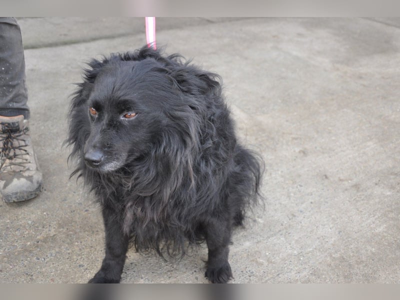 Besuche Daisy in 04157 Leipzig