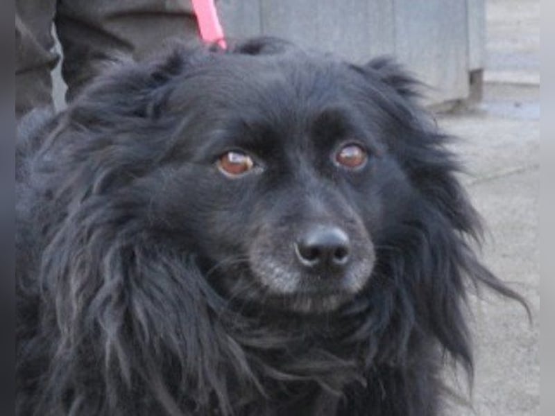 Besuche Daisy in 04157 Leipzig