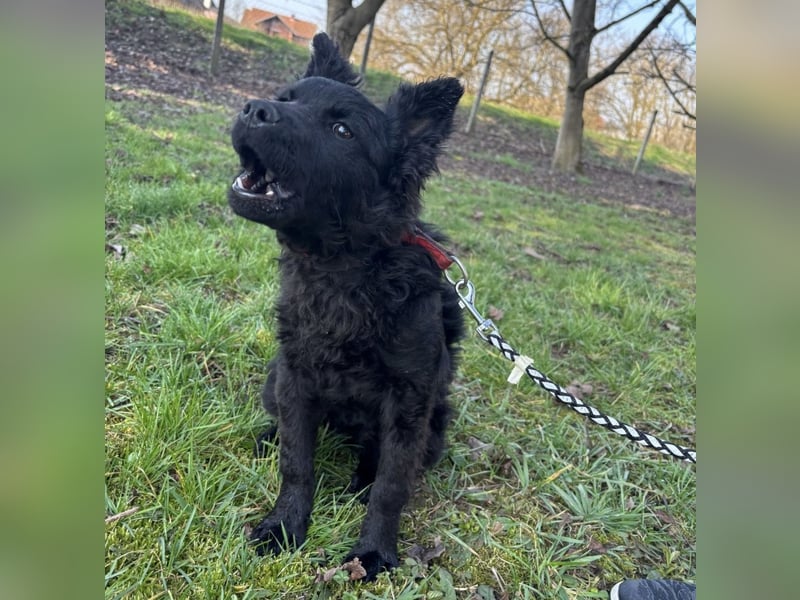 Marmolada eine kleine Rakete