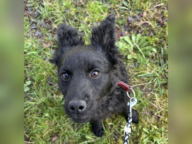 Marmolada eine kleine Rakete