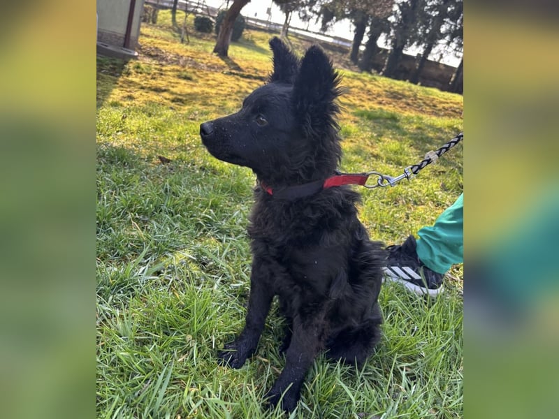 Marmolada eine kleine Rakete