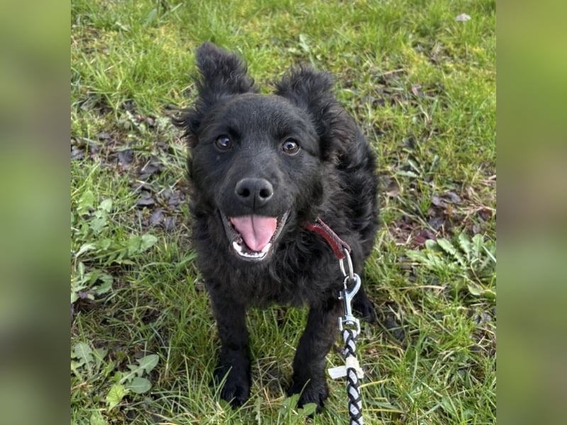 Marmolada eine kleine Rakete