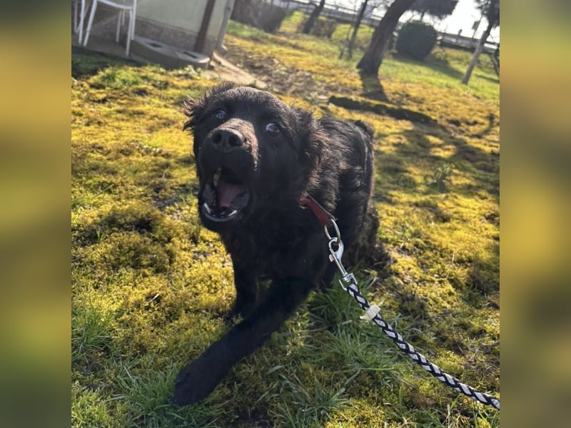 Marmolada eine kleine Rakete