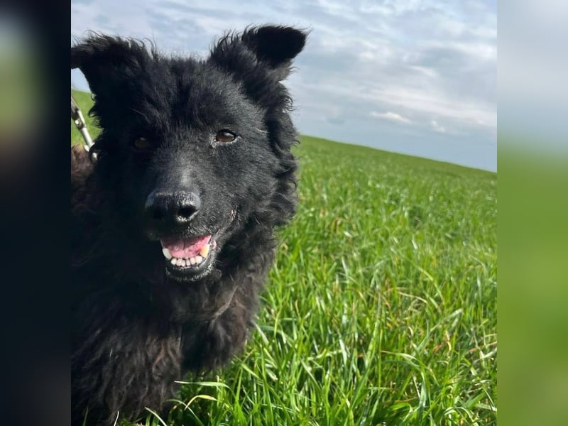 Frida eine Menschen-Liebende