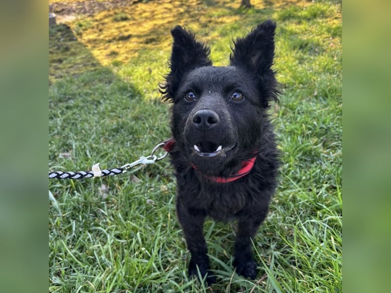 Marmolada eine kleine Rakete