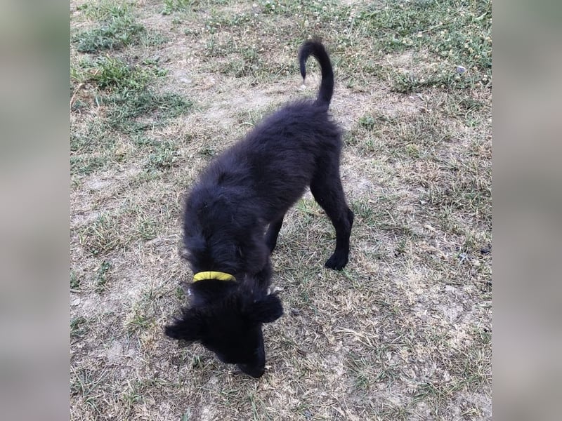 Berta ein winziger Engel