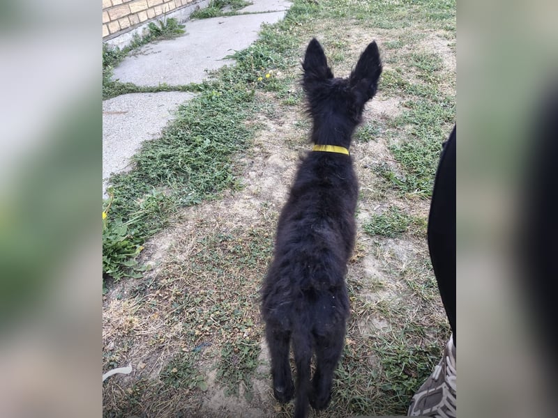Berta ein winziger Engel