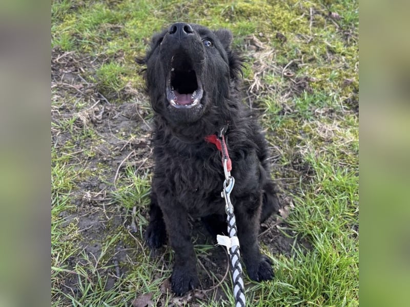 Marmolada eine kleine Rakete