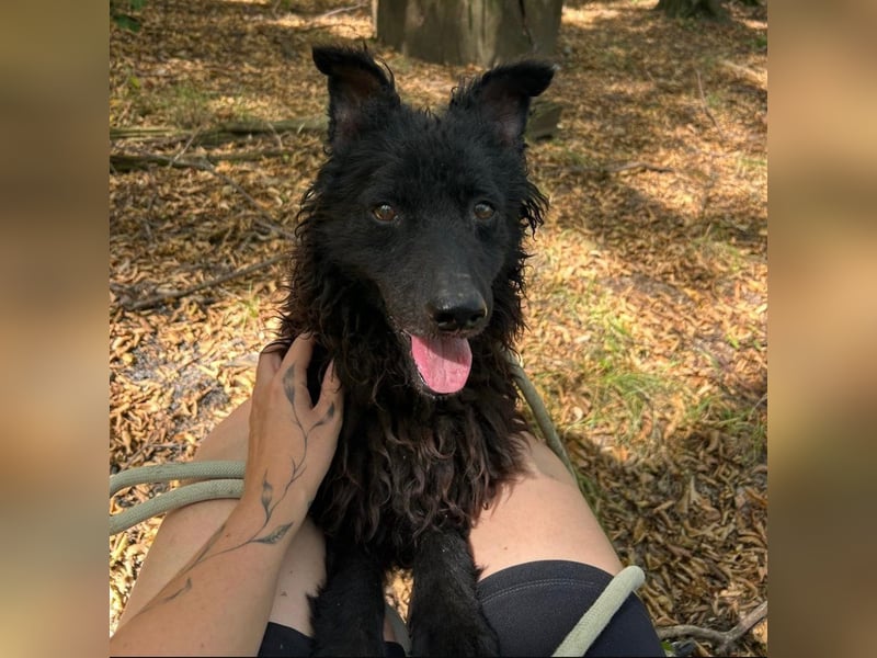 Frida eine Menschen-Liebende