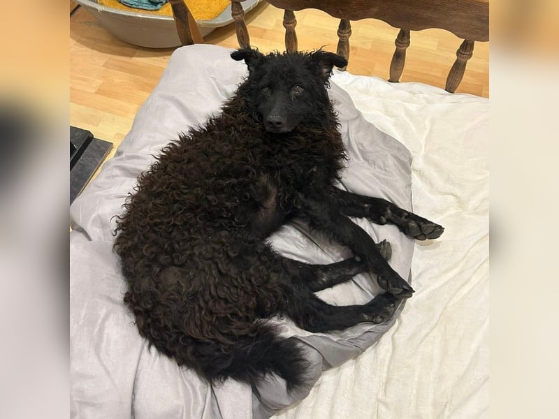 Frida eine Menschen-Liebende