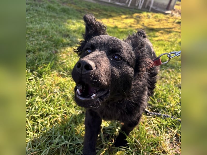 Marmolada eine kleine Rakete