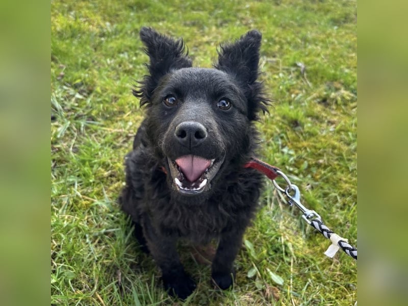 Marmolada eine kleine Rakete