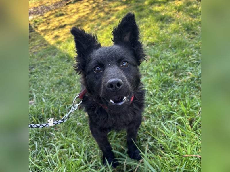 Marmolada eine kleine Rakete