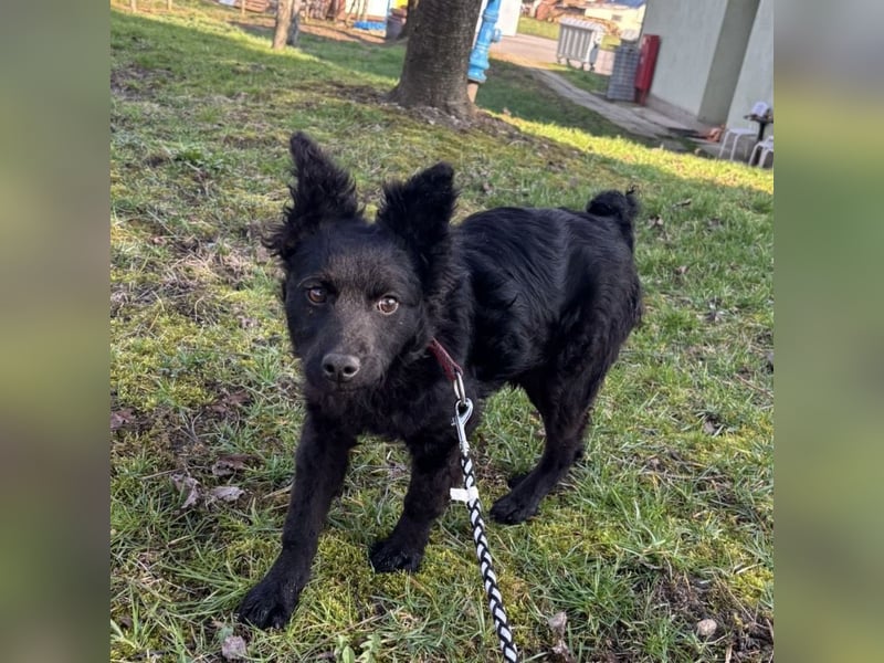 Marmolada eine kleine Rakete