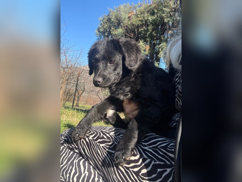 Đina ❤️ wartet in 21755 Hechthausen auf dich