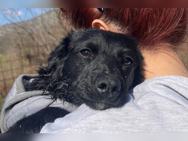 Đina ❤️ wartet in 21755 Hechthausen auf dich