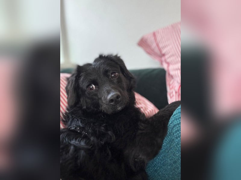 Đina ❤️ wartet in 21755 Hechthausen auf dich