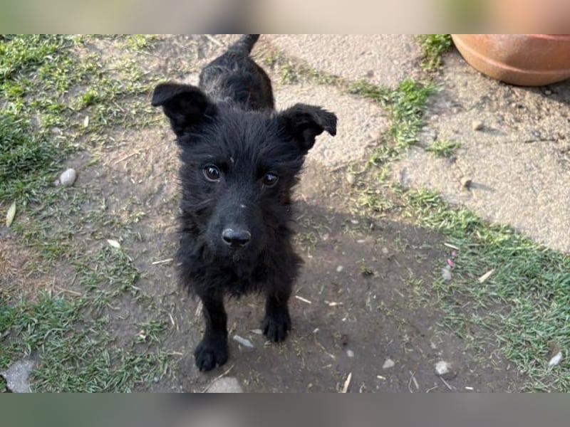 Energiebündel Vinka