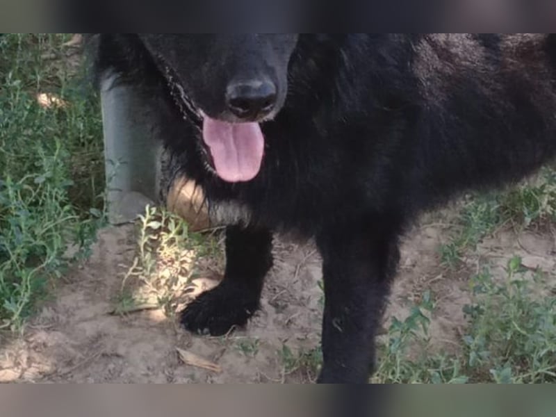 menschenbezogener Tobby