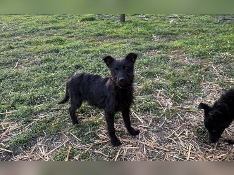 Energiebündel Vinka