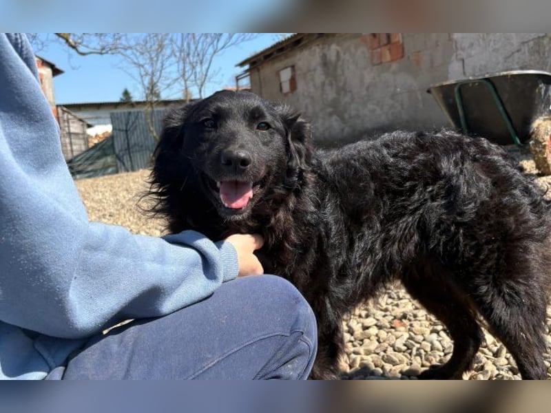 menschenbezogene Sofija