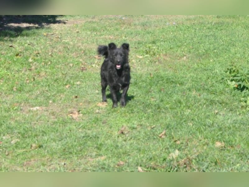 menschenbezogener Otto