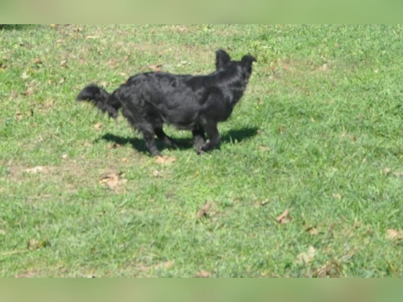 menschenbezogener Otto