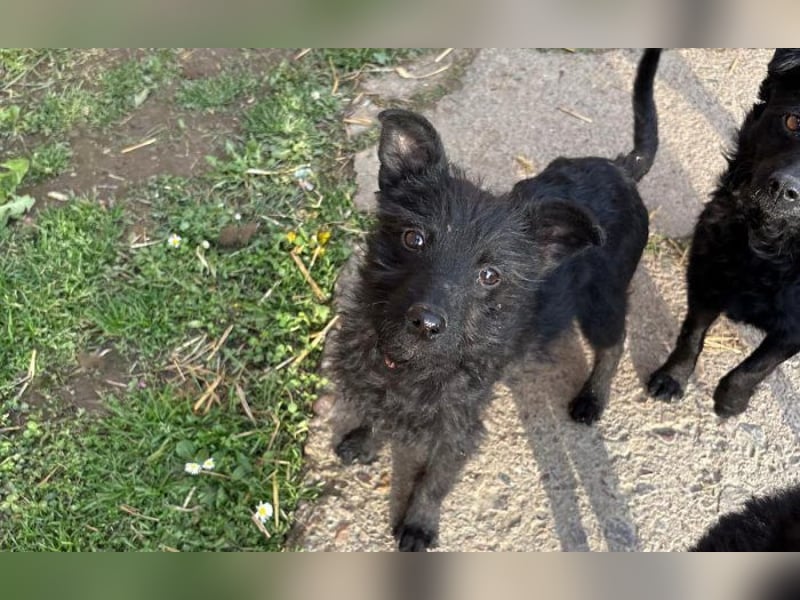 Energiebündel Vinka