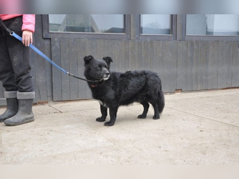 menschenbezogener Otto